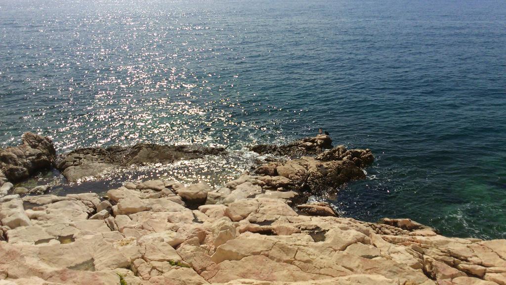 Elena Mare Διαμέρισμα Novi Vinodolski Εξωτερικό φωτογραφία